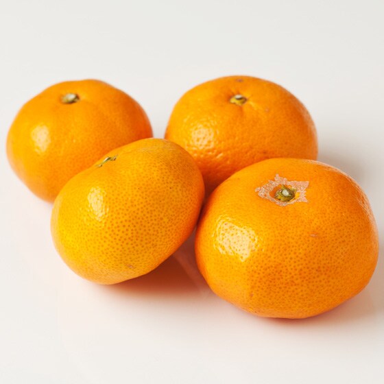݂(F{Y 삳)