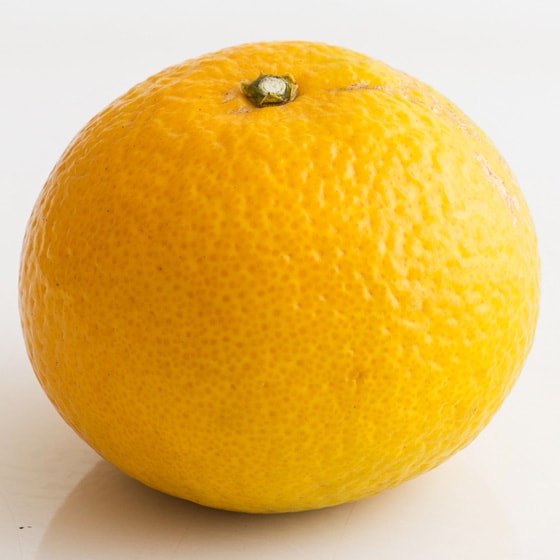 [��������Ƃ�Ă�������]�X�C�[�g�X�v�����O(�F�{��)