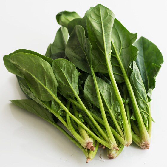 小規格】篠崎さんの有機栽培ほうれん草(千葉県産)|有機野菜 通販