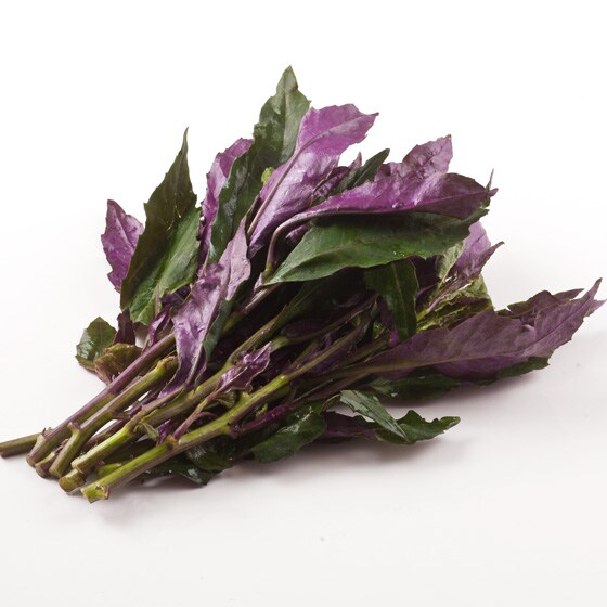 ハンダマ 沖縄県産 芳野さん他 有機野菜 通販 ｏｉｓｉｘ おいしっくす