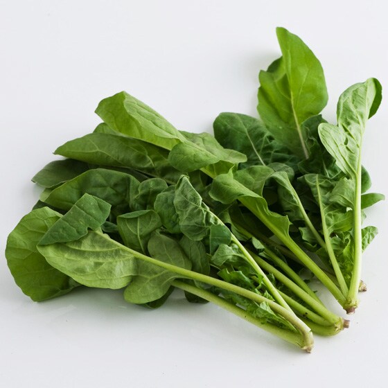 たくさんとれてお買い得 サラダルッコラ 長野県産 有機野菜 通販 ｏｉｓｉｘ おいしっくす