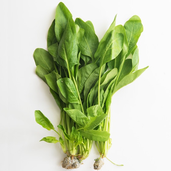 たくさんとれてお買い得】サラダほうれん草(山口県産 福永さん他)|有機