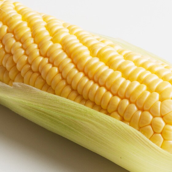 ミルキーな口当たり とうもろこし 北海道産 相内さん他 有機野菜 通販 ｏｉｓｉｘ おいしっくす