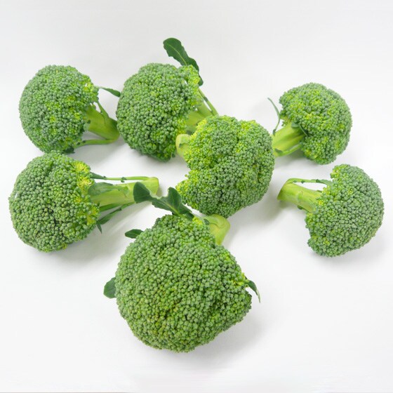 �x�r�[�u���b�R���[(�{�茧�Y �쒆����)