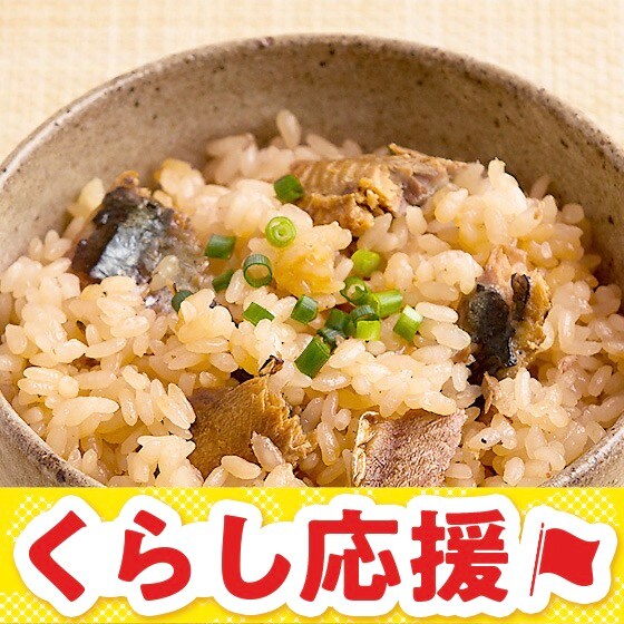 子どもパクパク！化学調味料不使用さんま飯の素