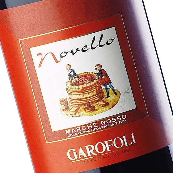 �K���t�H���@�m���F�b�� �}���P�@�ԁ@IGT