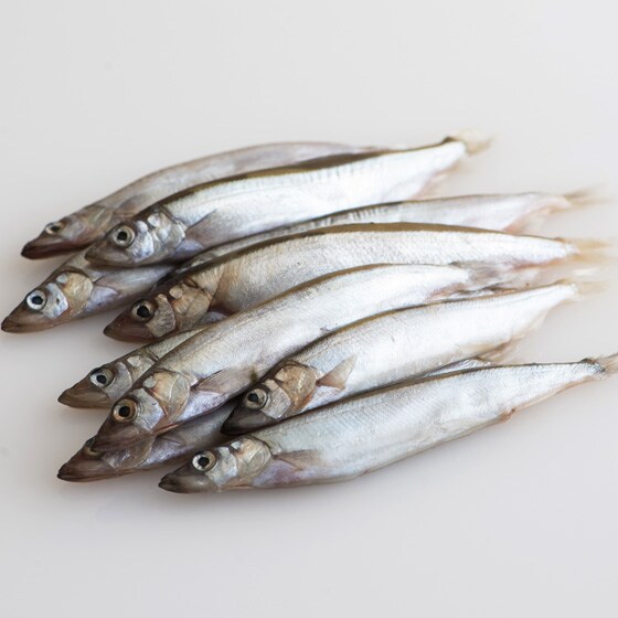 骨もやわらか 北海道生ししゃも オス メス混合 有機野菜 通販 ｏｉｓｉｘ おいしっくす