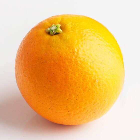 l[u(1 a̎RY T)