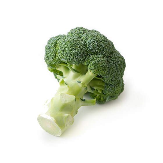 �u���b�R���[(�Ȗ،��Y �v�q����)