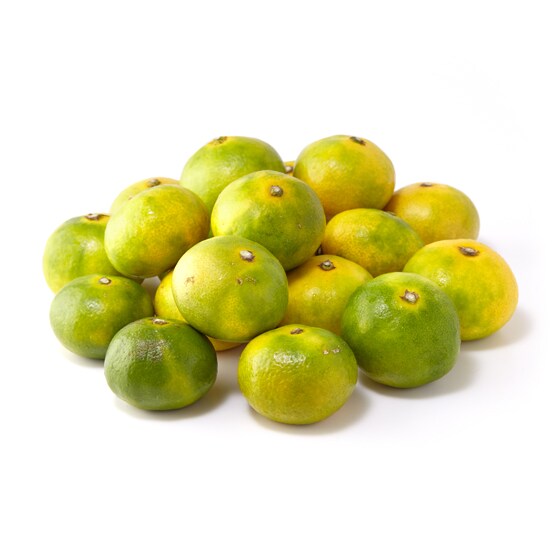 yeʁzɑI݂1.5kg(F{Y삳)