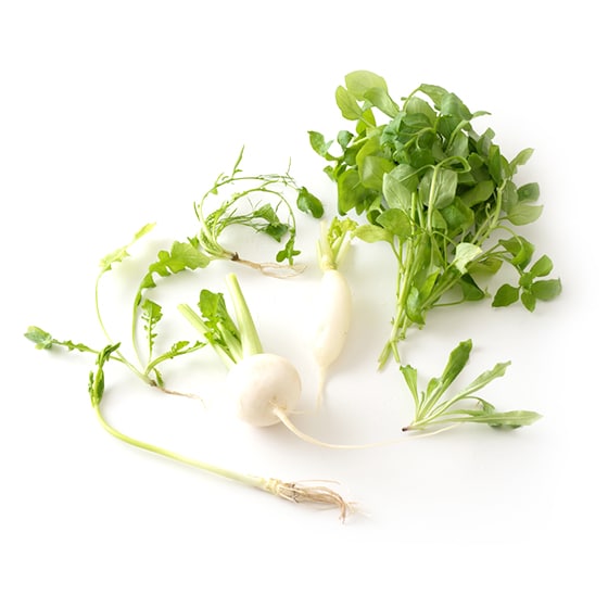 �����Z�b�g(�_�ސ쌧�Y)