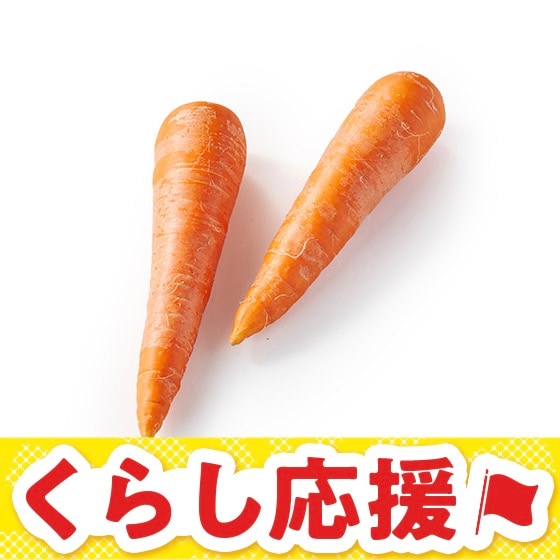 ����̂ɂ񂶂�(�F�{���Y)