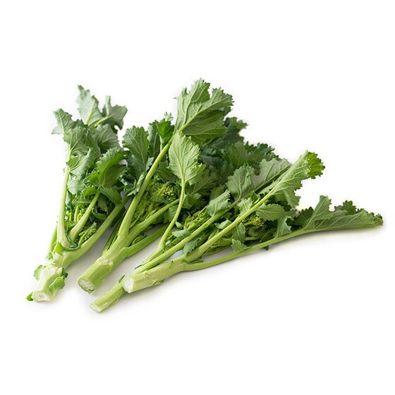 ���m�؉� �`�[�}�E�f�B�E���[�p(��ʌ��Y)