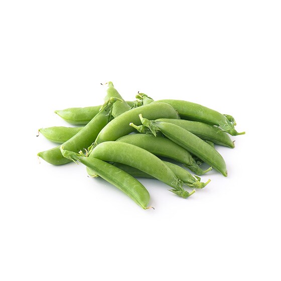 �X�i�b�v�G���h�E(���쌧�Y �^�؂���)