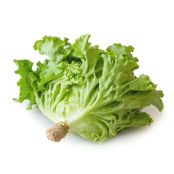 ���炩���[�t���^�X(�啪���Y ���{����)