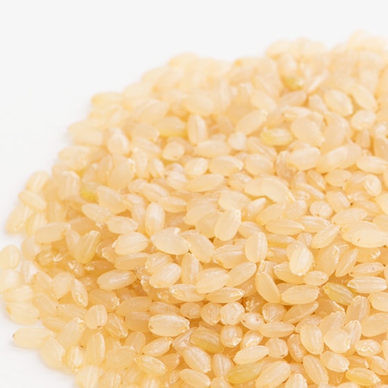 有機栽培米使用　国内産　発芽玄米
