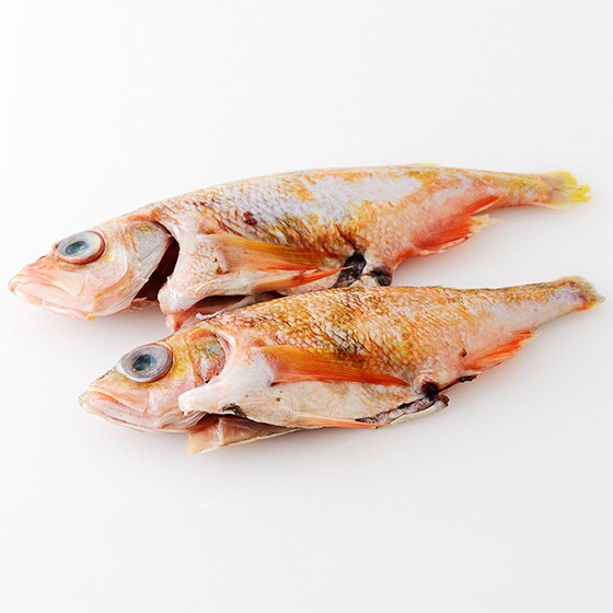 実は北海道ではポピュラー ハツメ 内臓処理済み 有機野菜 通販 ｏｉｓｉｘ おいしっくす