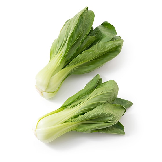 �`���Q���T�C(��t���Y �ڐ삳��)