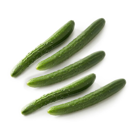 おすすめ　きゅうり　胡瓜　82 きゅうり キュウリ 胡瓜