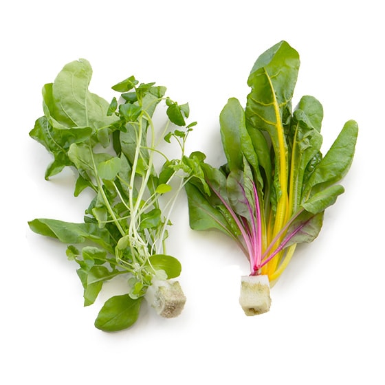 �o���G�e�B���[�t�~�b�N�X(���Ɍ��Y ���R����)