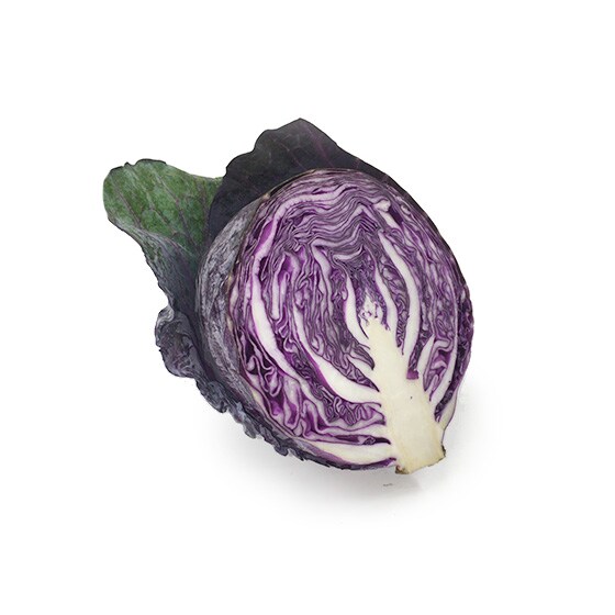 ���b�h�L���x�c1/2��(�É����Y ���c����)