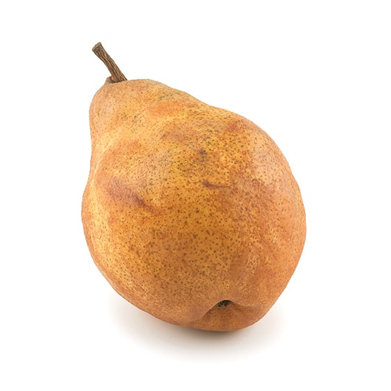 Vo[x(mȂ R`Y c)