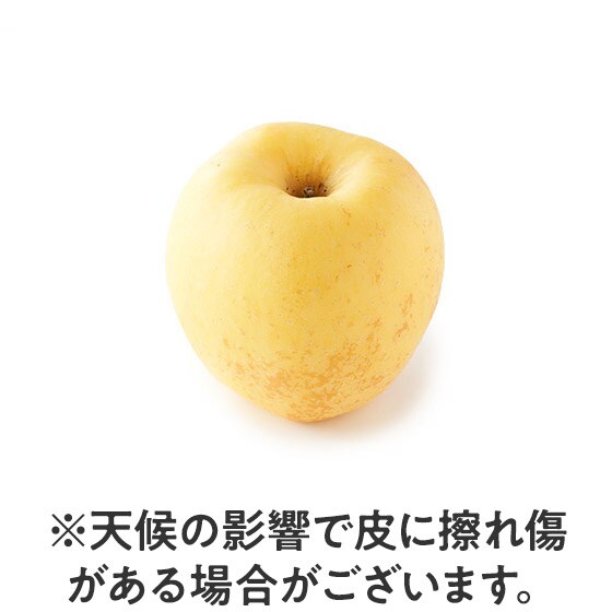 濃厚な甘さ 冬恋1玉 小玉りんご 岩手県産 有機野菜 通販 ｏｉｓｉｘ おいしっくす