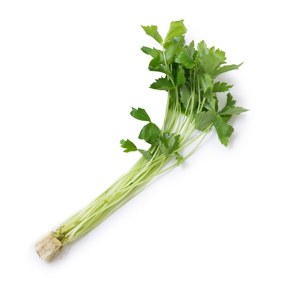 ݂t(ʌY ւ)