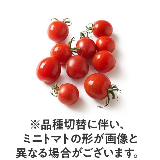 フルーツミニトマト 千葉県産 日暮さん他 オイシックス公式 フルーツミニトマト 千葉県産 日暮さん他 オイシックス公式