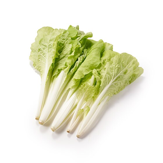 �X�e�B�b�N����(��ʌ��Y �_�c����)