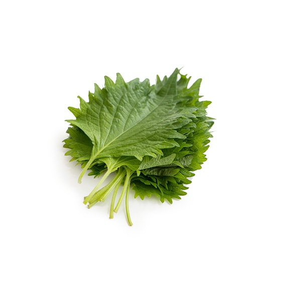 ��t(��t���Y ��Ԃ���)