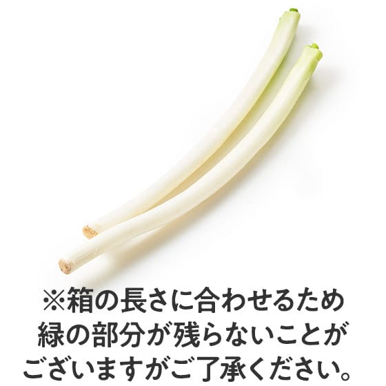 [J̔˂(ʌY g)