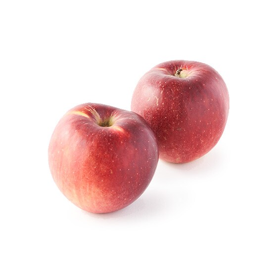 こたろー　甘平2kg+媛小春2kgぐるりん こるりんご 2kg KORU APPLE リンゴ【果物】《季節限定