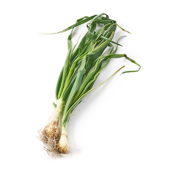 たっぷり野菜詰め合わせ 応援セット （国産おまかせ野菜10品