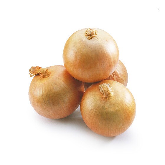 淡路の新玉ねぎ 曽根さん他 有機野菜 通販 ｏｉｓｉｘ おいしっくす