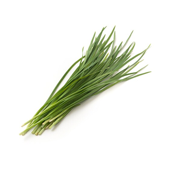 �����ō��荂�� �X�^�~�i�j��(��錧�Y)