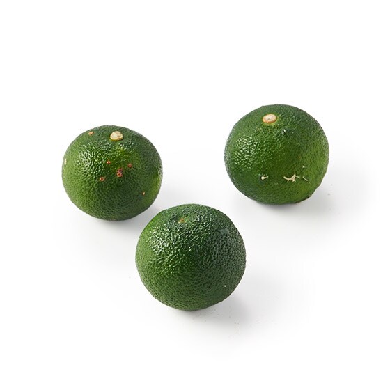 ����؂₩ ������(�������Y)