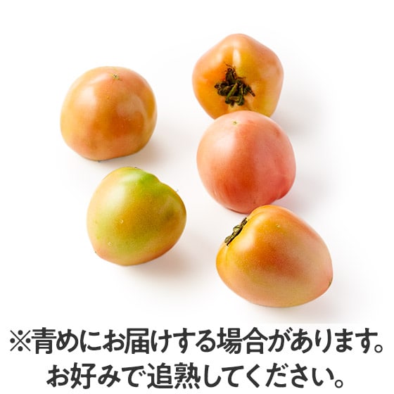 �H�ׂ���T�C�Y�̒��ʁI�΂̍��g�}�g(�F�{���Y)