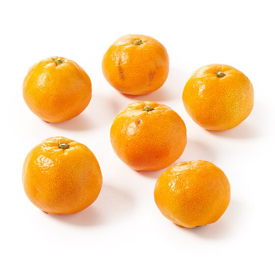 ZÂ݂ƋÏkI߂݂(F{Y)