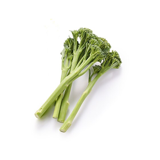 �y�g���؂�z�s�����������I�X�e�B�b�N�u���b�R���[