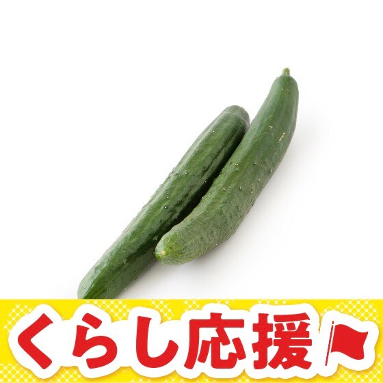 きゅうり(千葉県産 小島さん他)