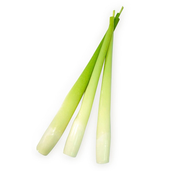Ăƍ΂ ܂(pY)
