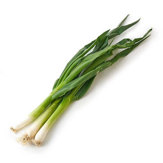 香り高い 五條の太ねぎ 奈良県産 有機野菜 通販 ｏｉｓｉｘ おいしっくす
