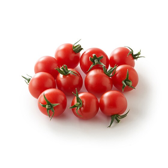 ���b�h�h���b�v(�~�j�g�}�g �_�ސ쌧�Y)