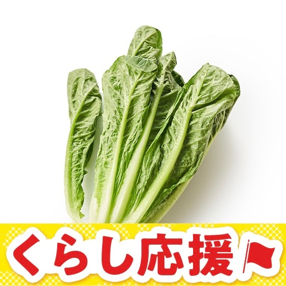 �u�߂Ă����������I�~�j�����C�����^�X(�Q�n���Y)