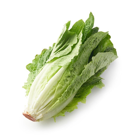 �����C�����^�X(��錧�Y ���R����)