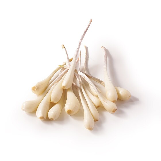 薬味としてマルチに活躍 エシャレット 静岡県産 オイシックス公式