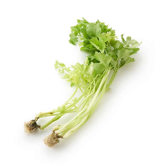 XbƃT_Z(ÉY)