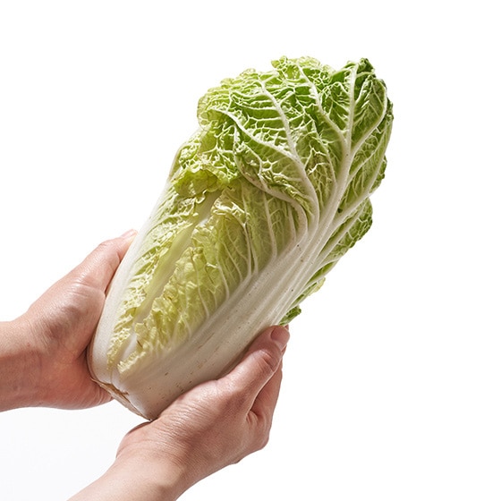 使い切りサイズが魅力 ベビー白菜 群馬県産 オイシックス公式