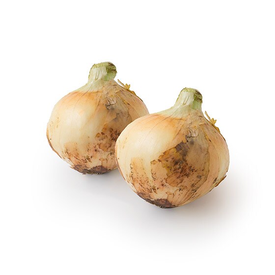 シャキッと甘い淡路の大きな新玉ねぎ 兵庫県産 有機野菜 通販 ｏｉｓｉｘ おいしっくす